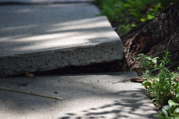 Cost of Sidewalk Leveling in Prior Lake